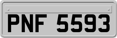 PNF5593