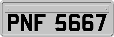 PNF5667