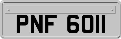 PNF6011
