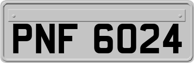 PNF6024