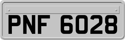 PNF6028