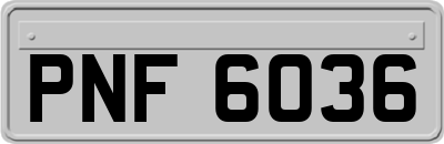PNF6036