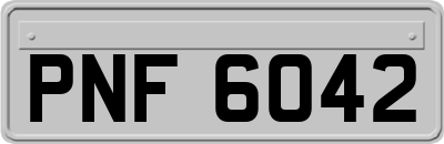 PNF6042