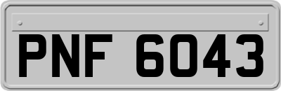 PNF6043