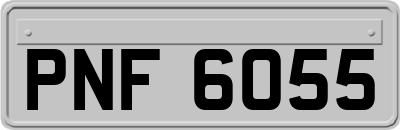 PNF6055