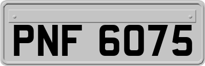 PNF6075