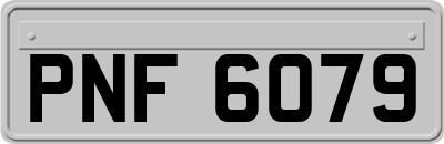 PNF6079