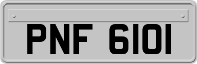 PNF6101
