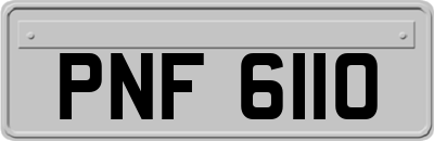 PNF6110