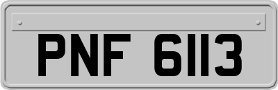 PNF6113
