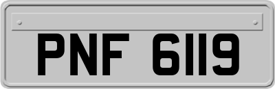 PNF6119