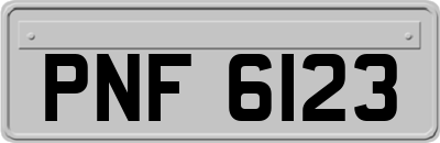 PNF6123
