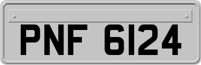 PNF6124
