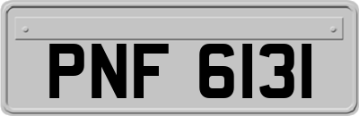 PNF6131