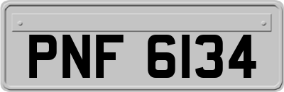 PNF6134