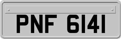 PNF6141