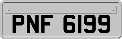PNF6199