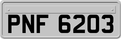 PNF6203