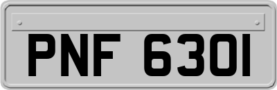 PNF6301