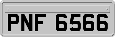 PNF6566