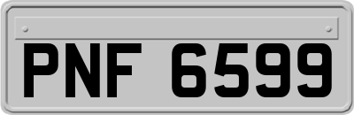 PNF6599