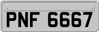 PNF6667