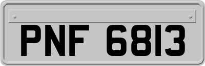 PNF6813