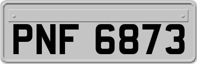 PNF6873