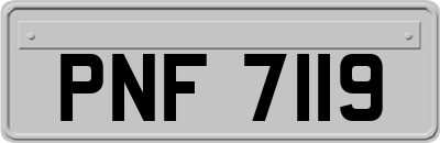 PNF7119