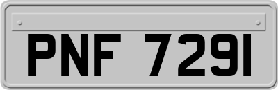 PNF7291