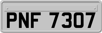 PNF7307
