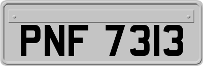 PNF7313