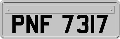PNF7317