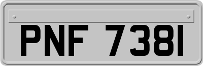 PNF7381