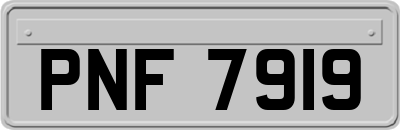 PNF7919
