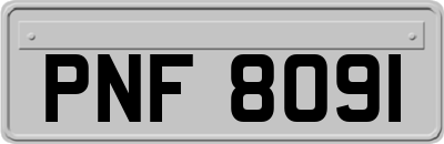 PNF8091