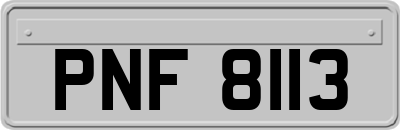 PNF8113