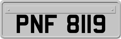 PNF8119