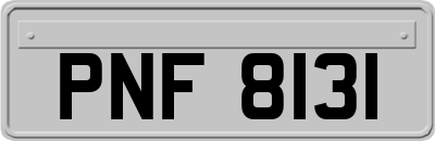 PNF8131