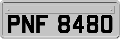PNF8480
