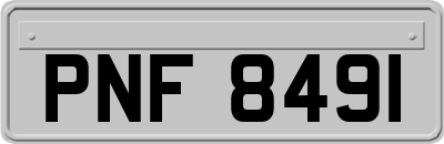 PNF8491