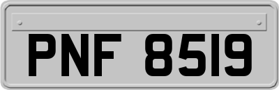 PNF8519