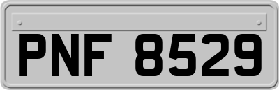 PNF8529