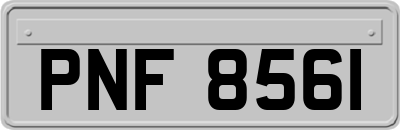 PNF8561