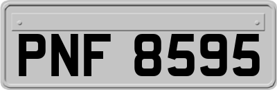 PNF8595