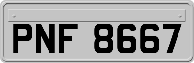 PNF8667