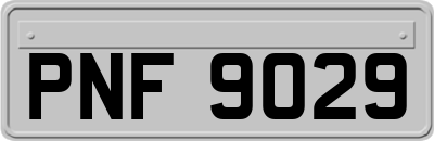 PNF9029