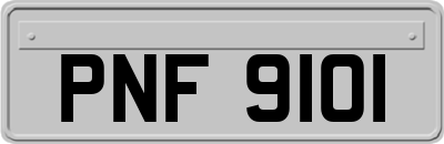 PNF9101