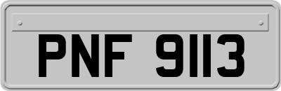 PNF9113
