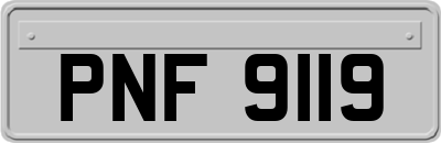 PNF9119